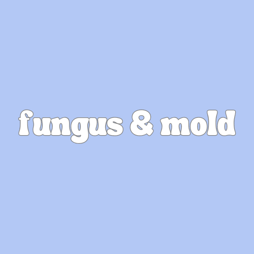 Fungus & Mold