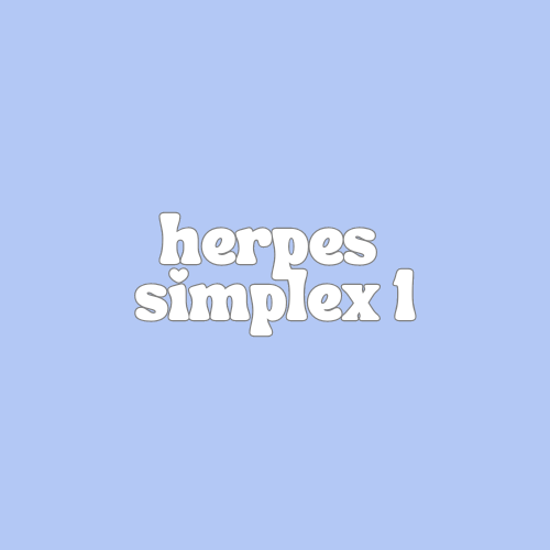 Herpes Simplex 1